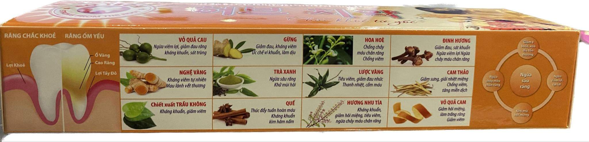 Kem đánh răng Dược liệu (100g)