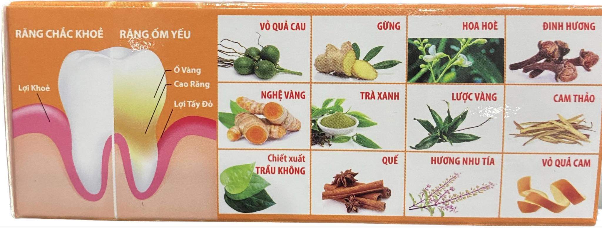 Kem đánh răng Dược liệu (170g)